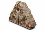 Tall Colorful Arizona Petrified Wood Bookends #382136-1
